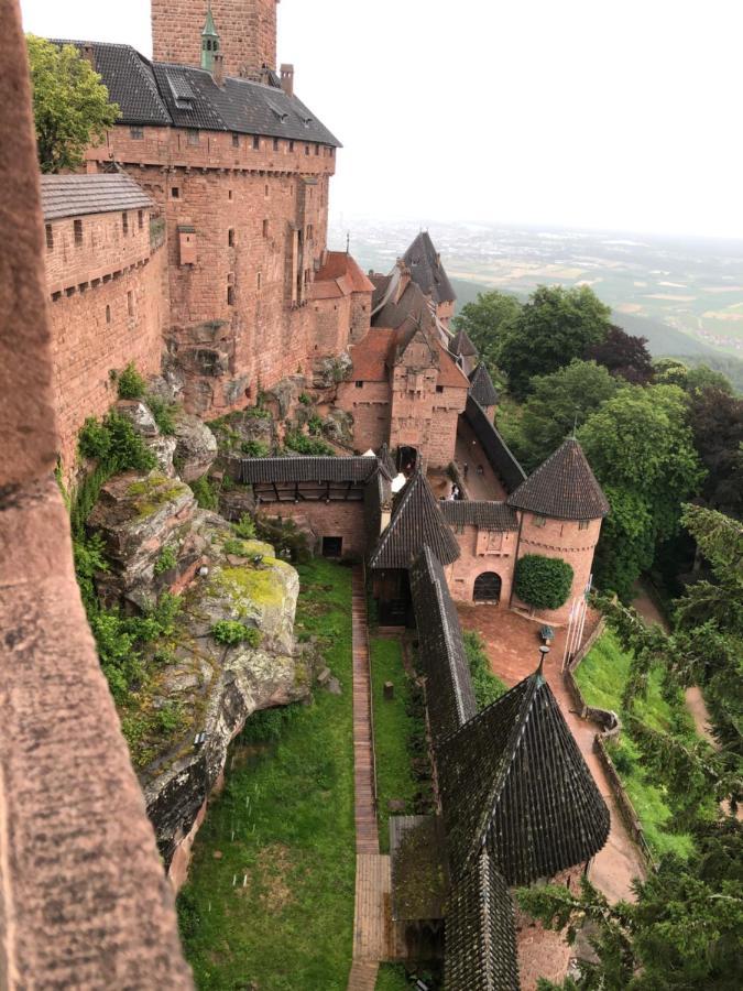 Villa La Cime Du Chene Proche Europapark Marckolsheim Exterior foto